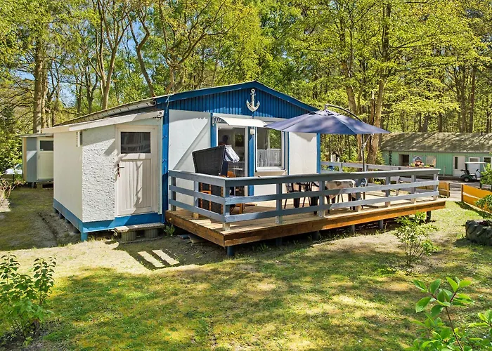 Mary Ann, Bgl 25 * Дранске